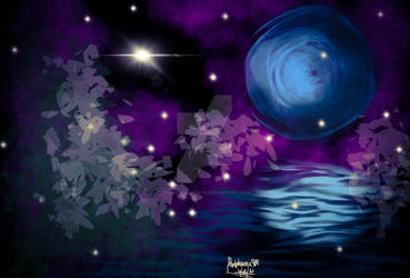 Mystic Night