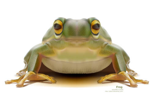 frog