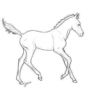 Free foal lineart