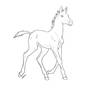 Free foal lineart 2
