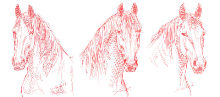 3 friesians sketch