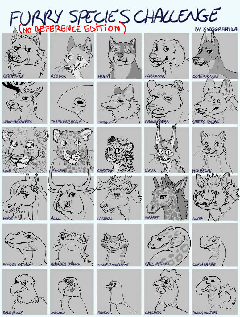 Furry Races Visualised Furry species challenge by Louas on DeviantArt
