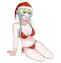 Fjorm Santa Bikini