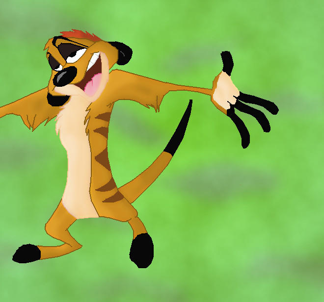 Timon by smsjgoku on DeviantArt