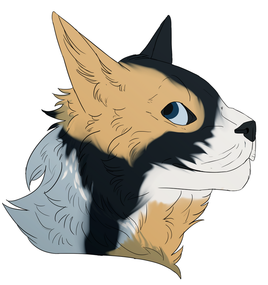 Yume By Zepharen On DeviantArt yume-by-zepharen-on-deviantart