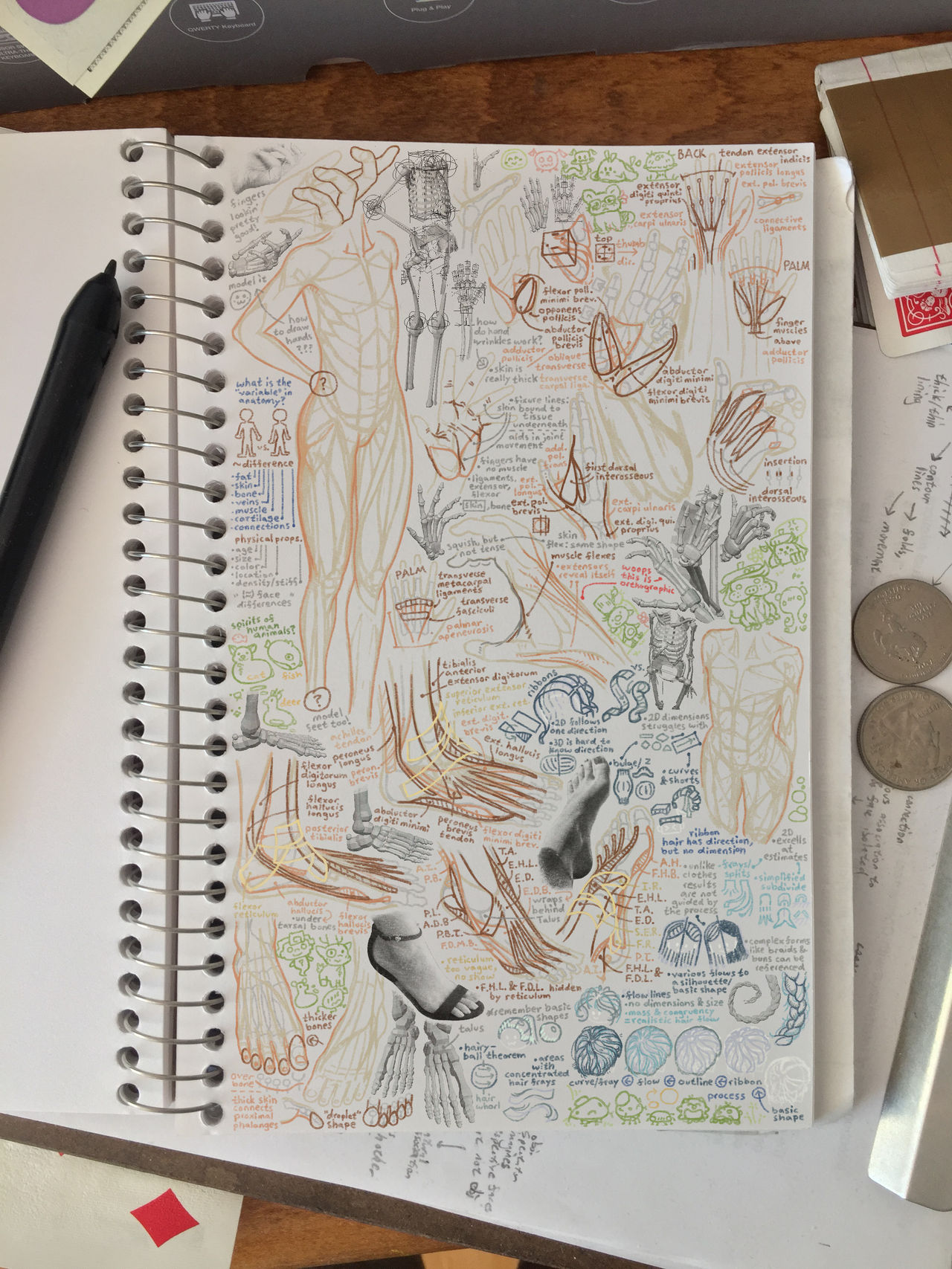 Page 242, Page of Notes by JohnNat852Archive on DeviantArt