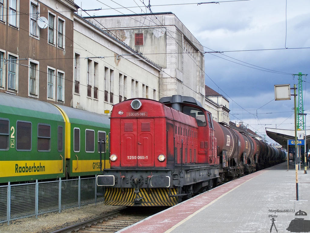 Floyd Faur with a freight train in Gyor on 2010