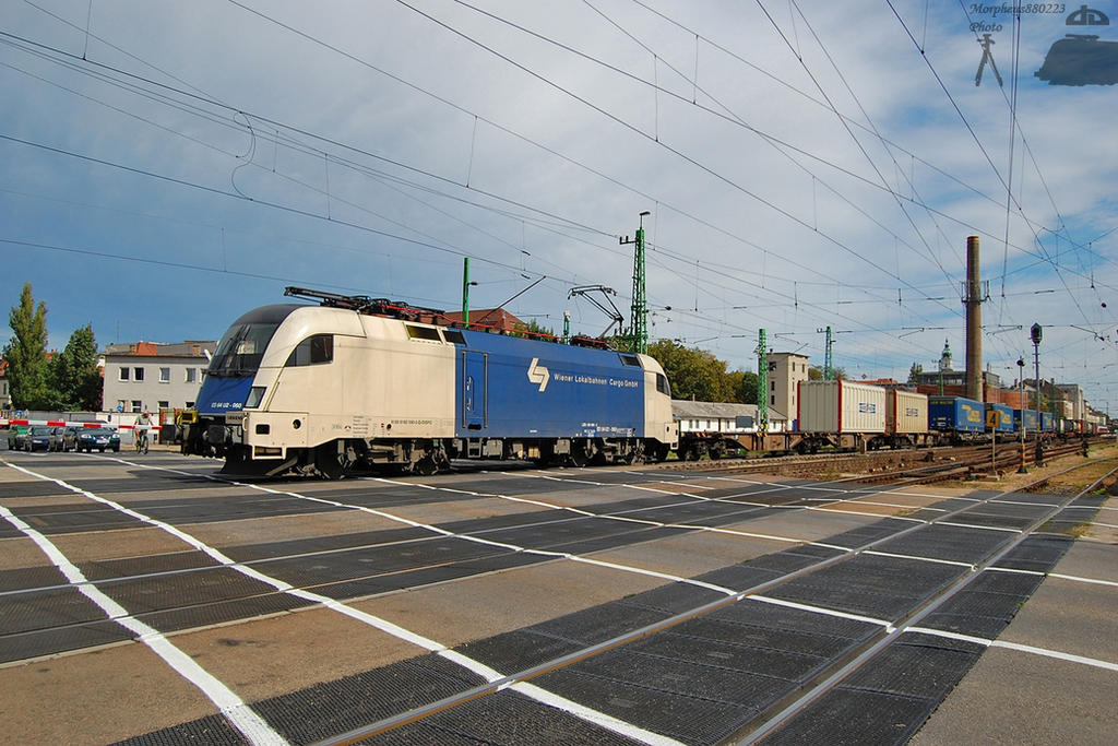 WLB taurus with freight - Gyor