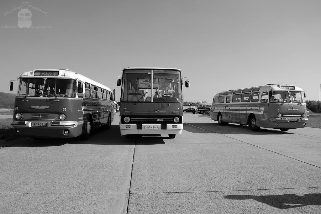 Ikarus 255 between two Ikarus 55's in Tokol, 2013