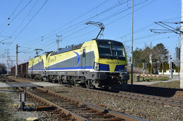 1193 890 with a freight train in Parndorf