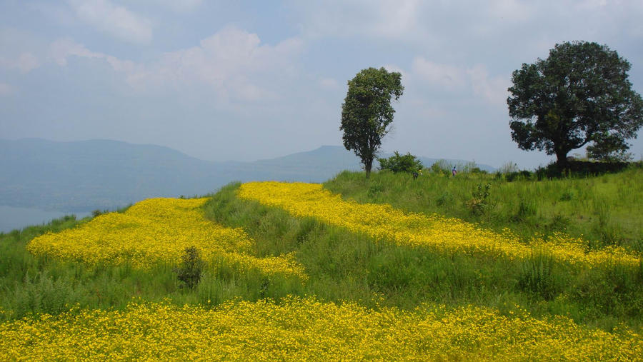 en route to kaas plateau