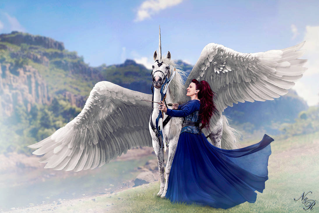 Archer Lady And Winged Steed by Lady-Akyashaa on DeviantArt