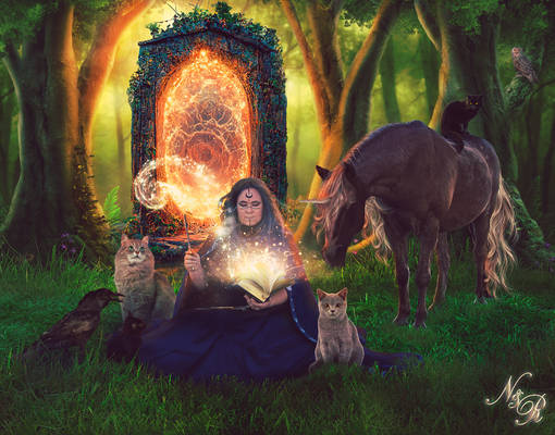 Spellcraft: Magical Forest Portal