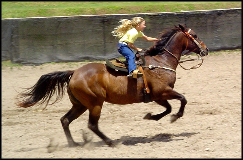 Проскачу на коне. Лошадь скачет галопом. Девушка катается на лошади. Лошадь галоп. Катание на лошади галопом.