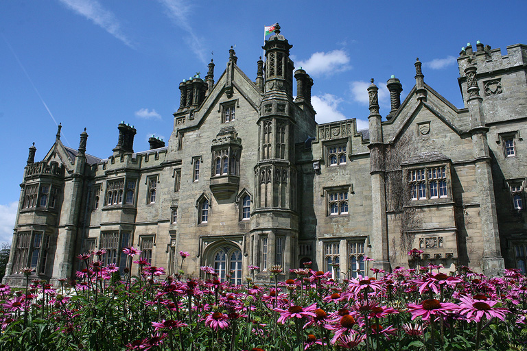 Margam castle and pink