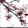Cherry Blossom Screenshot