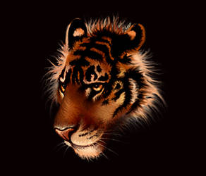 .tiger