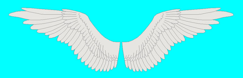 Explore best wingbase art on DeviantArt