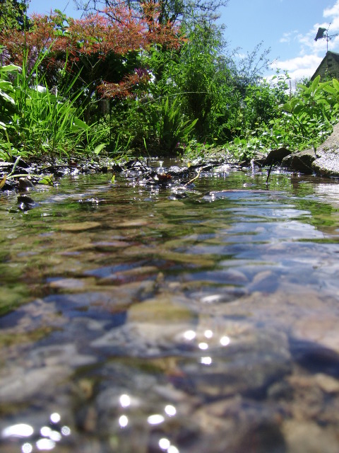 River Fae By Daylight