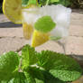 Lemon-Balm Mocktail I