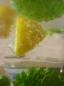 Lemon-Balm Mocktail II