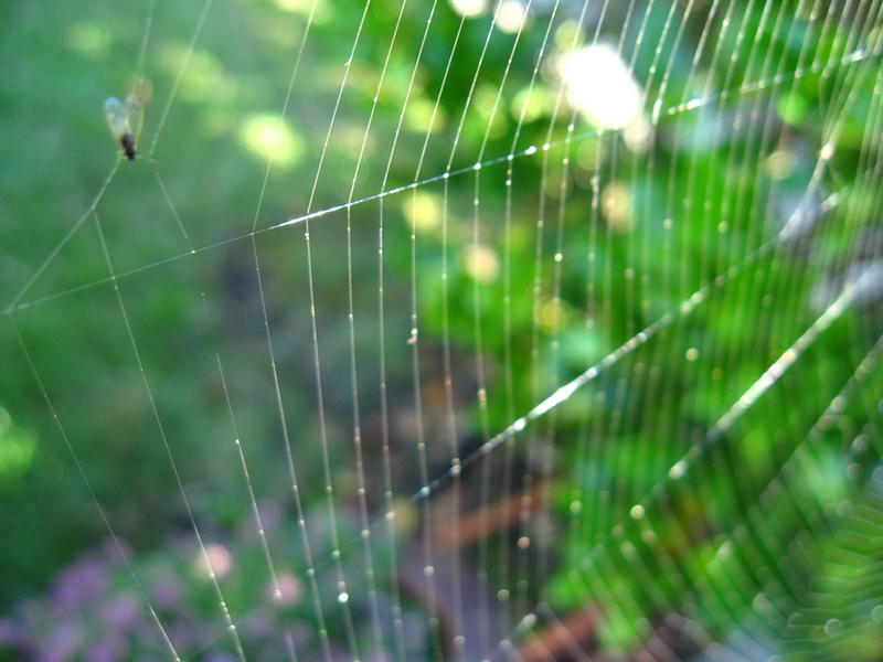 Merinthophobia by pink-sin on DeviantArt