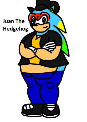 Deviantart Juan Juan the hedgehog by Superx340 on DeviantArt