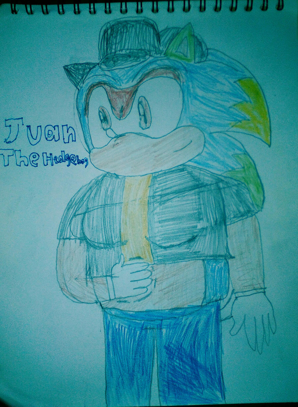 Deviantart Juan Juan The Hedgehog by Superx340 on DeviantArt