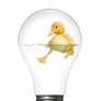 Duckbulb