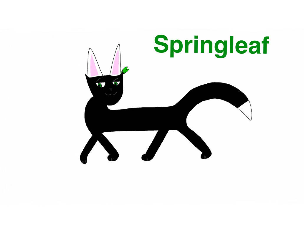 Springleaf design (warriors oc) by Bluvolt on DeviantArt