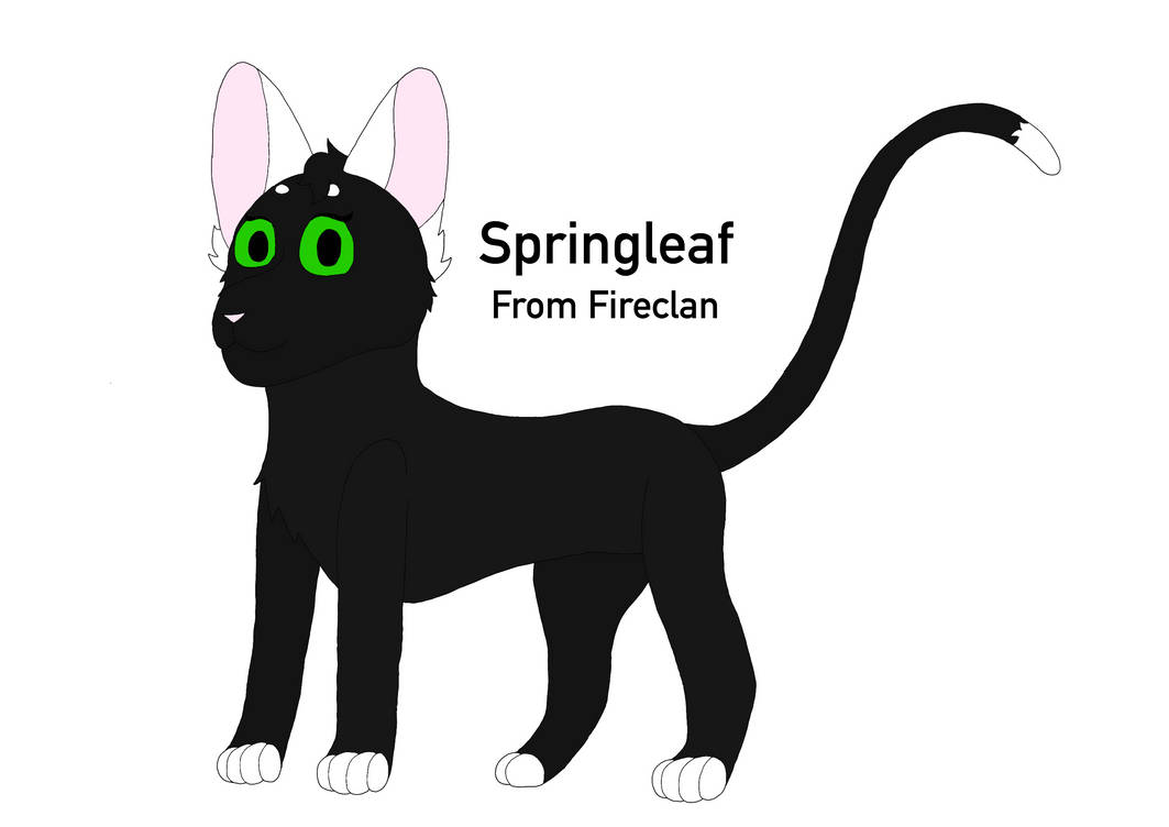 Springleaf redesign (warriors oc) by Bluvolt on DeviantArt