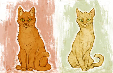 Firestar and Sandstorm Valentines