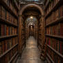 Deep in the Stacks