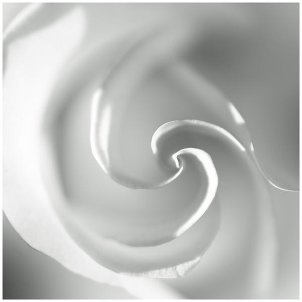 White by Damienne Bingham