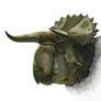 Head of Nasutuceratops