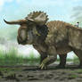 Nasutuceratops titusi