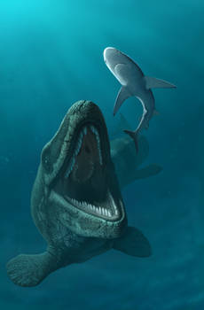Mosasaurus hoffmani