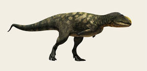 Eoabelisaurus