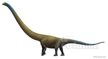 Mamenchisaurus jingyanensis
