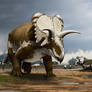 Medusaceratops lokii