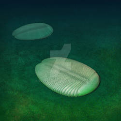 Ivovicia