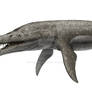 Pliosaurus rossicus