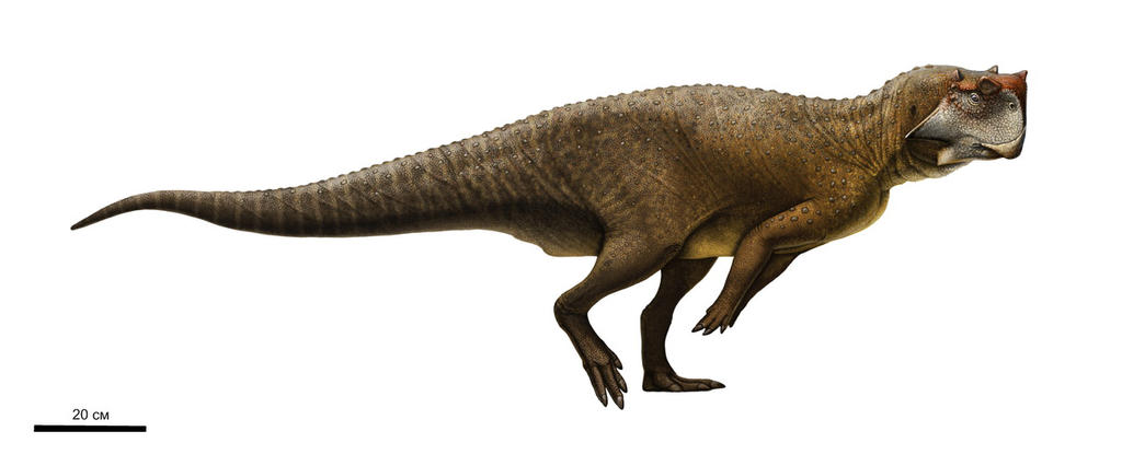 Psittacosaurus sibiricus