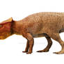 Bagaceratops