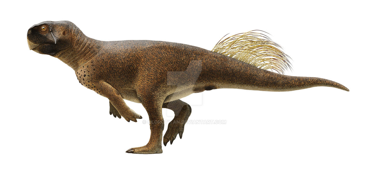 Psittacosaurus sp. (SMF R 4970)