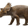 Regaliceratops
