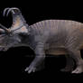 Machairoceratops