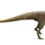 Kileskus aristotocus
