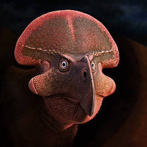 Protoceratops