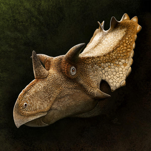 Utahceratops gettyi